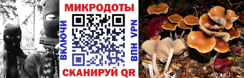 ссылка на мегу ссылки  Канск  Псилоцибиновые грибы Magic Shrooms 